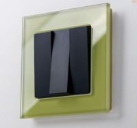 WERKEL FAVORIT Рамка на 1 пост (фисташковый, стекло) WL01-Frame-01