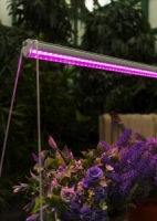 Св-к ФитоЛето LED 11Вт 11мкм/с для растений 600мм